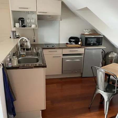 2 Pieces De 46 M2 En Plein Coeur De נאנט