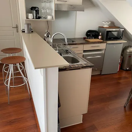 2 Pieces De 46 M2 En Plein Coeur De דירה נאנט