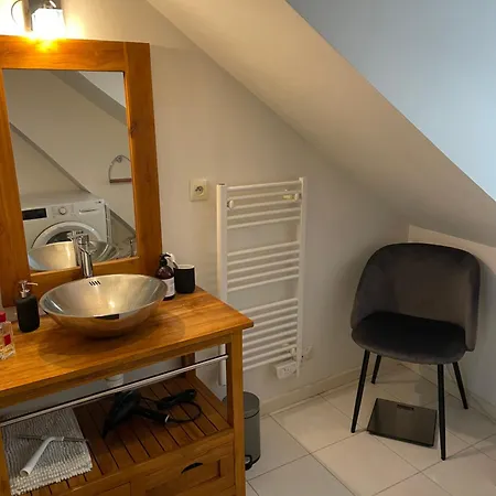 דירה 2 Pieces De 46 M2 En Plein Coeur De נאנט