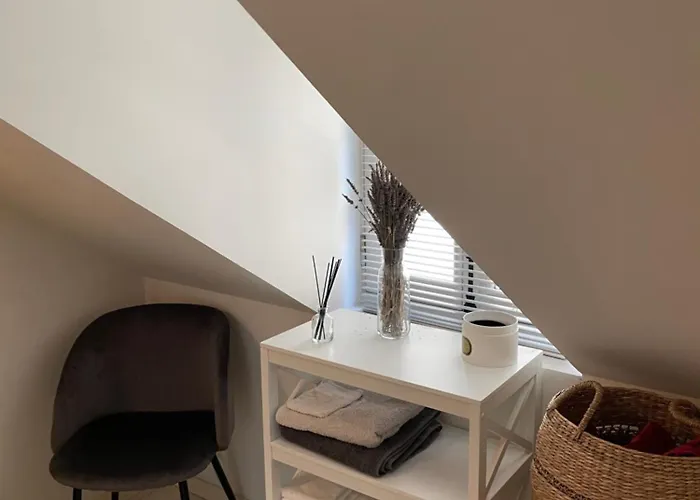 2 Pieces De 46 M2 En Plein Coeur De * Nantes