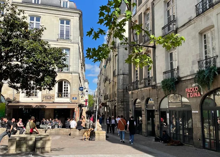 2 Pieces De 46 M2 En Plein Coeur De