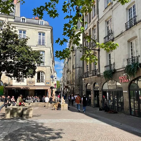 2 Pieces De 46 M2 En Plein Coeur De
